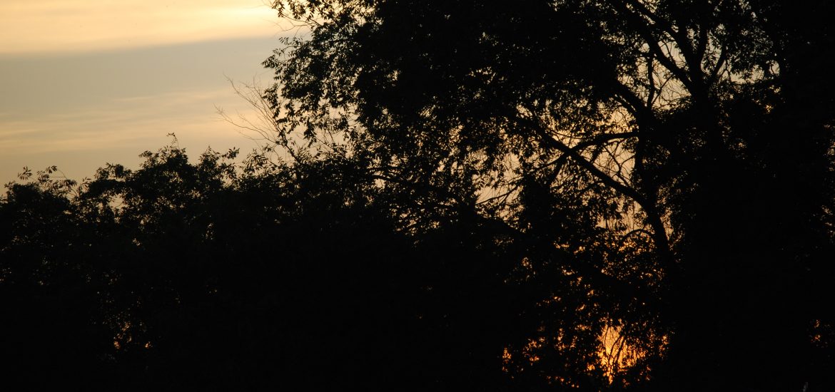 Paisaje para contemplar