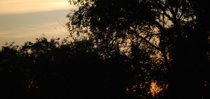 Paisaje para contemplar